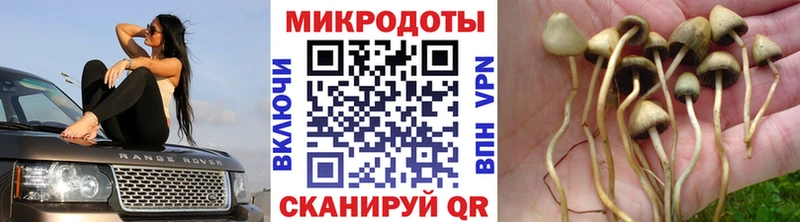 даркнет сайт  hydra маркетплейс  Псилоцибиновые грибы прущие грибы  Белогорск 